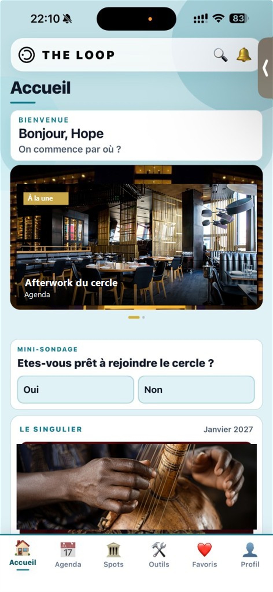 Capture Accueil THE LOOP